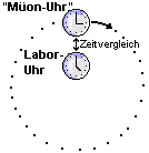 Myonen, Uhrenvergleich